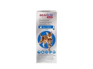 bravecto-plus-for-cats-2-month-protection-small-0