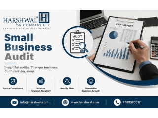 simple-and-effective-small-business-audit-services-small-0