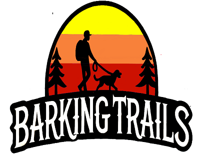 professional-dog-walking-services