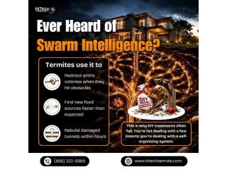 ever-heard-of-swarm-intelligence-small-0