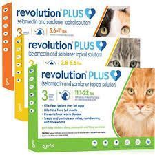 revolution-for-cats-monthly-flea-heartworm-worm-protection-big-0