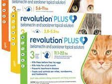 revolution-for-cats-monthly-flea-heartworm-worm-protection