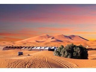casablanca-city-tour-must-see-landmarks-and-hidden-gems-small-0