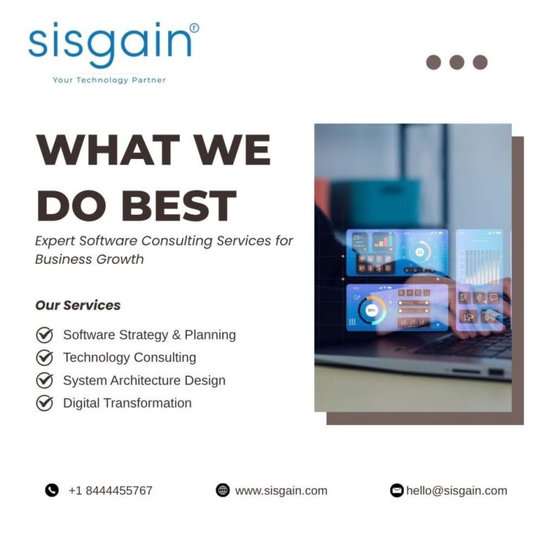 professional-software-consulting-services-for-business-growth-big-0