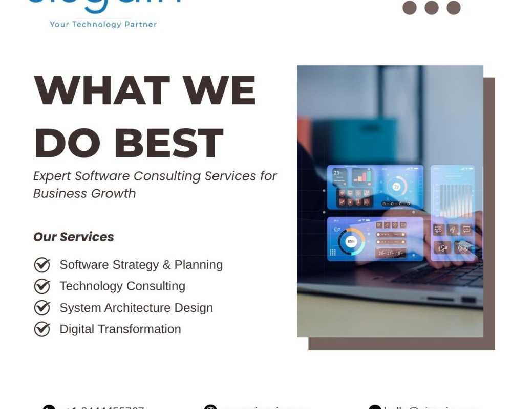 professional-software-consulting-services-for-business-growth