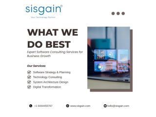 professional-software-consulting-services-for-business-growth-small-0