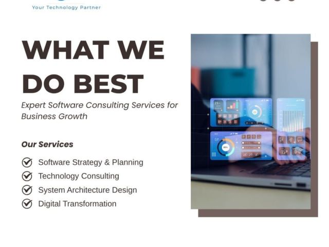 professional-software-consulting-services-for-business-growth