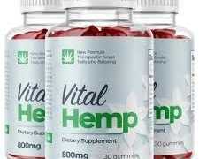 how-long-do-vital-hemp-gummies-take-to-show-results