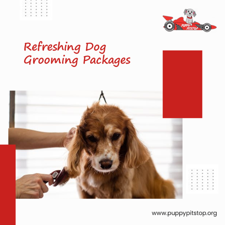 best-indianapolis-dog-boarding-puppy-pitstop-big-3
