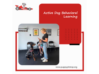 best-indianapolis-dog-boarding-puppy-pitstop-small-2