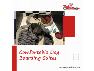 best-indianapolis-dog-boarding-puppy-pitstop-small-0
