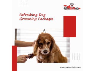 best-indianapolis-dog-boarding-puppy-pitstop-small-3