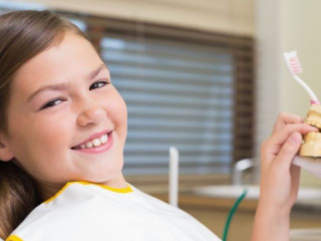 little-chompers-pediatric-dentistry-dentist-in-northland