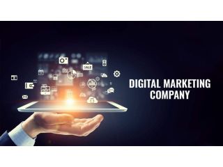 best-digital-marketing-company-in-delhi-ncr-small-0