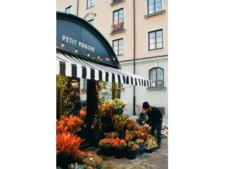 custom-storefront-signs-in-flower-mound-small-0