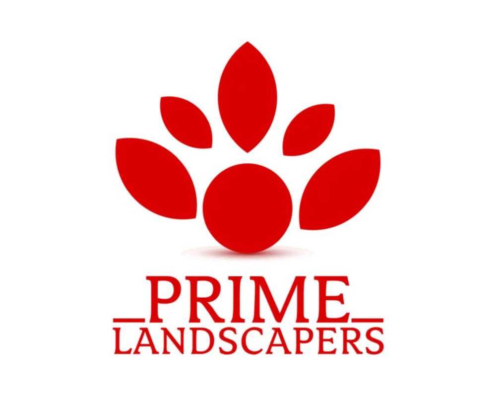 cheap-sod-installation-buffalo-services-for-lawn-upgrades