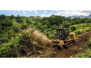 quality-cheap-land-clearing-in-hilo-for-every-budget-small-0