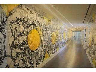 custom-wall-graphics-office-wall-decals-in-tomball-tx-small-0