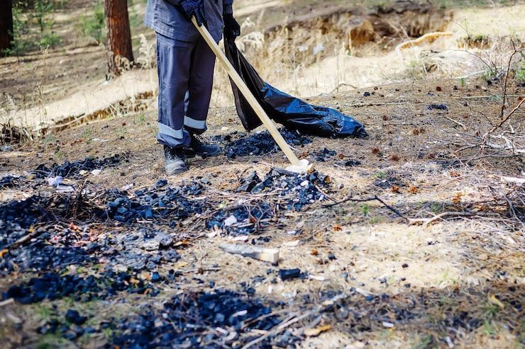 fast-professional-storm-damage-cleanup-services-big-0