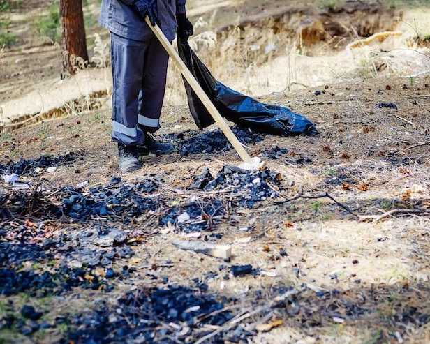 fast-professional-storm-damage-cleanup-services