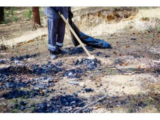 fast-professional-storm-damage-cleanup-services-small-0