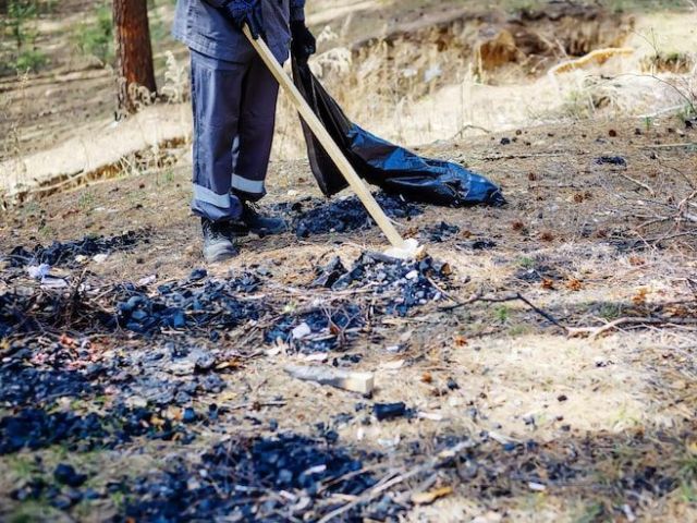 fast-professional-storm-damage-cleanup-services