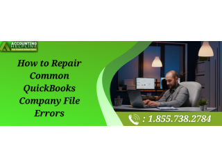 easy-ways-to-eliminate-quickbooks-company-file-errors-small-0