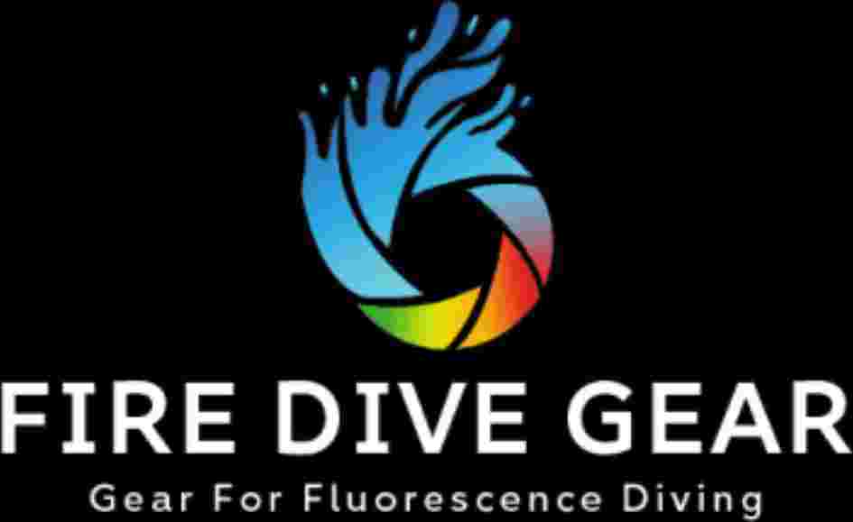 high-quality-scuba-diving-accessories-available-big-0