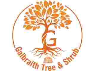 tree-stump-removal-services-in-geneseo-ny-small-0