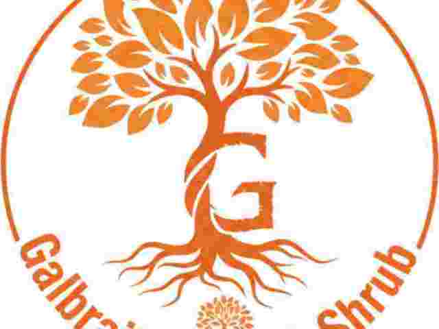 tree-stump-removal-services-in-geneseo-ny