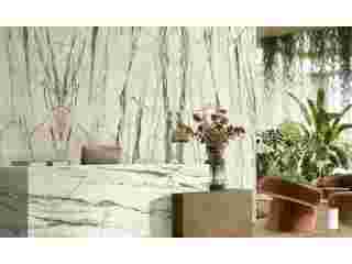 white-gold-granite-countertops-small-0