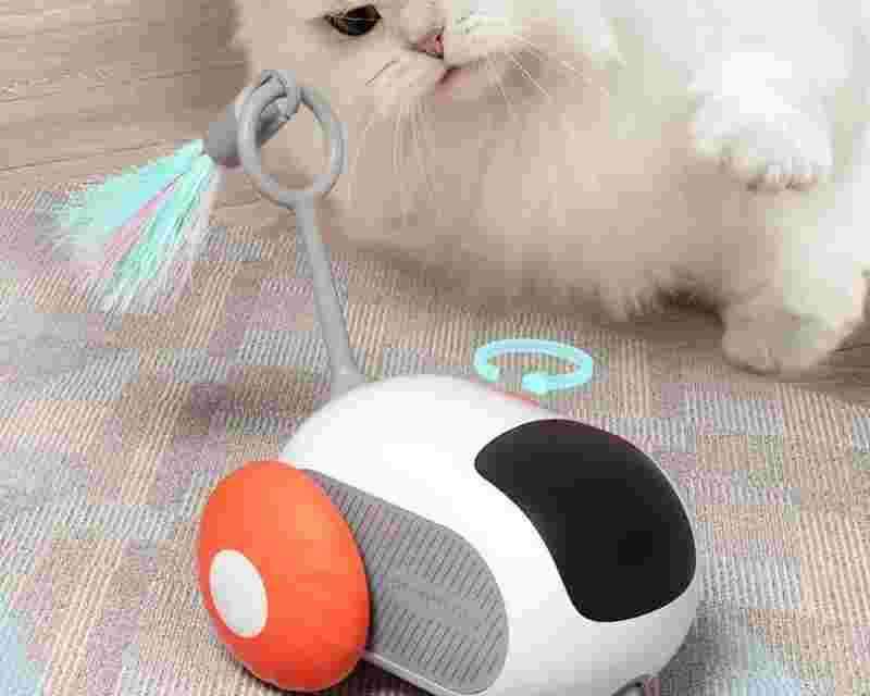 remote-control-interactive-cat-toy-car