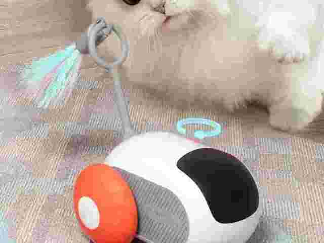 remote-control-interactive-cat-toy-car