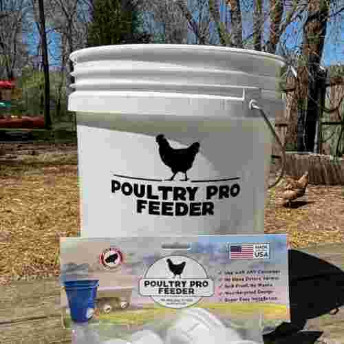 automatic-gravity-chicken-feeder-big-0