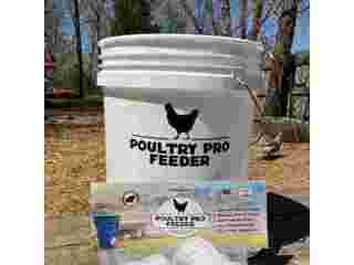 automatic-gravity-chicken-feeder-small-0