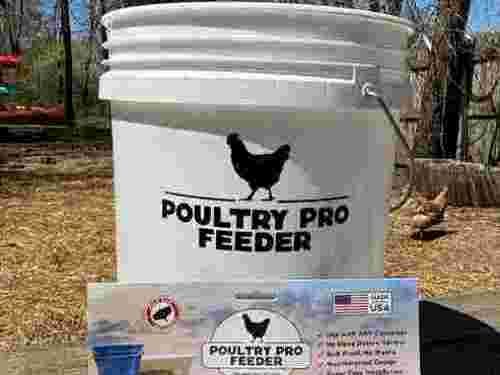 automatic-gravity-chicken-feeder