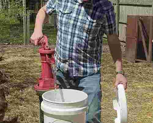 weatherproof-chicken-feeder