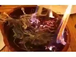 voodoo-herbalist-healing-at-27-60-577-5963-small-4