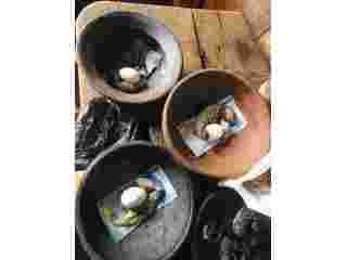 voodoo-herbalist-healing-at-27-60-577-5963-small-1