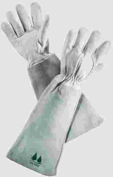 gloves-for-poison-ivy-big-0
