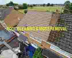 roof-moss-removal-companies-near-me