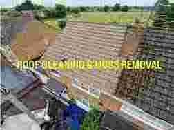 roof-moss-removal-companies-near-me