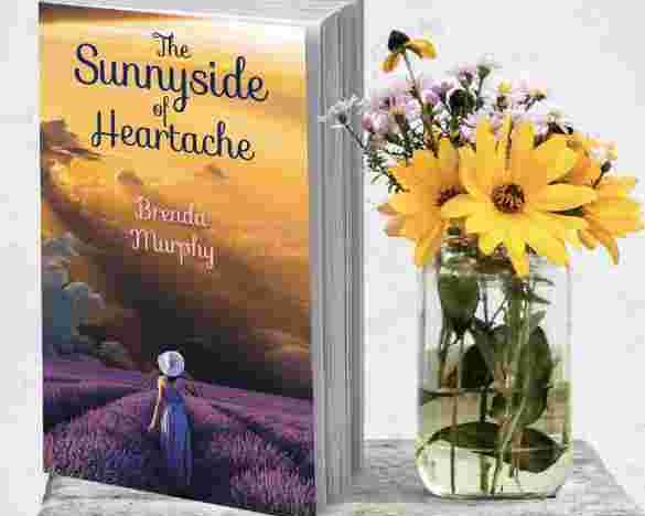 book-cover-design-by-a-professional-book-cover-designer