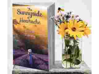 book-cover-design-by-a-professional-book-cover-designer-small-0