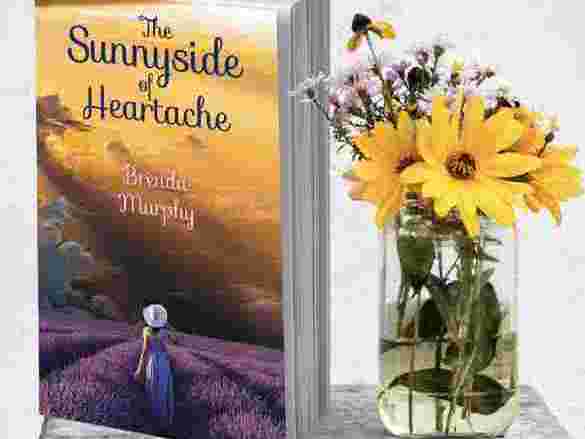 book-cover-design-by-a-professional-book-cover-designer