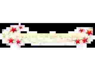 reception-hall-near-ozone-park-queens-ny-small-0
