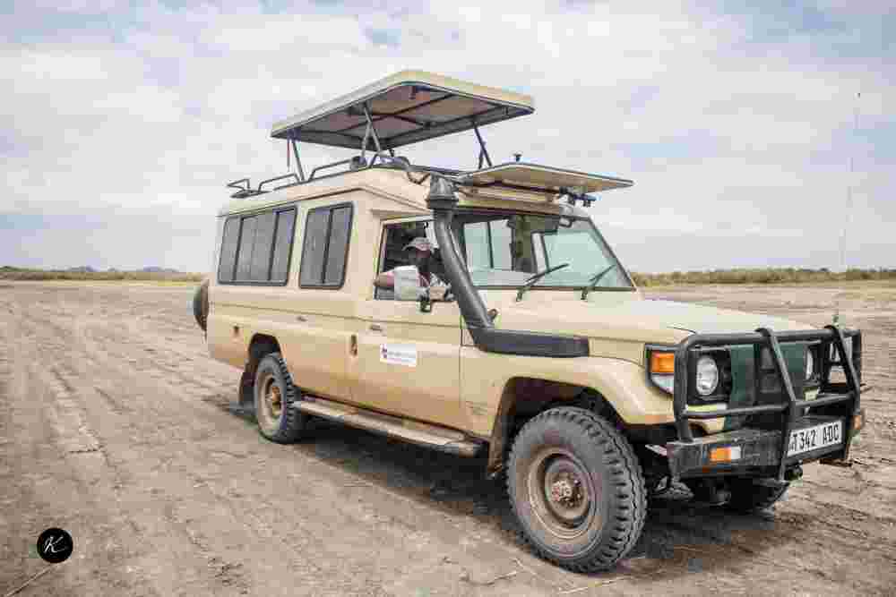 kenya-tanzania-safaris-explained-best-time-to-visit-top-parks-big-1