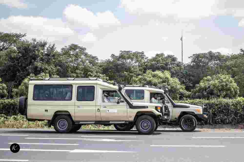 kenya-tanzania-safaris-explained-best-time-to-visit-top-parks-big-0