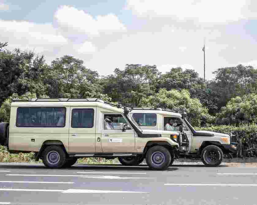 kenya-tanzania-safaris-explained-best-time-to-visit-top-parks