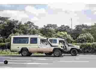 kenya-tanzania-safaris-explained-best-time-to-visit-top-parks-small-0